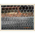 hexagonal wire mesh (anping factory)